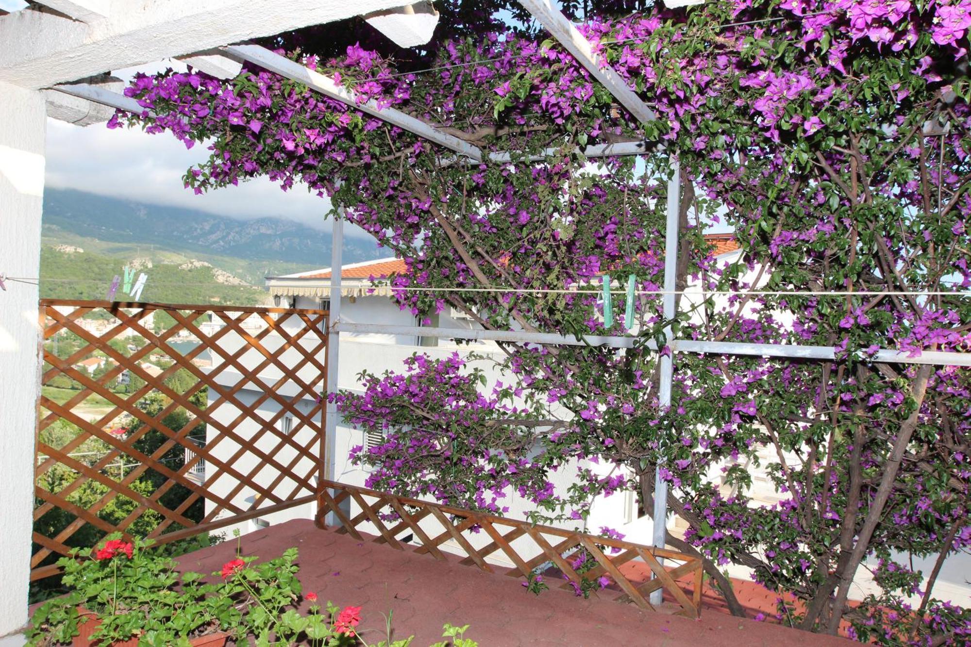 Apartman Sandra Budva